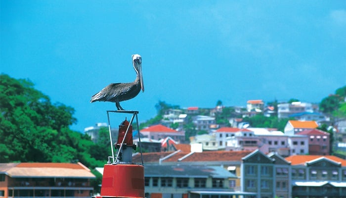 Grenada